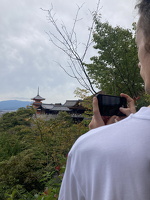 Temples and Pagodas in Kyoto